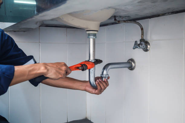 Best Affordable Plumber Near Me  in Theresa, WI
